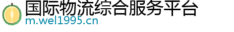 国际物流综合服务平台